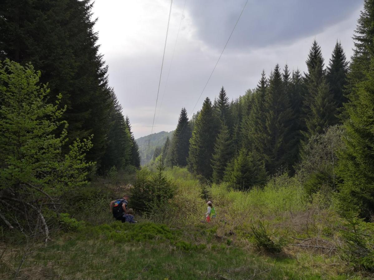 Sky Cabin Apartments Kopaonik Exterior photo